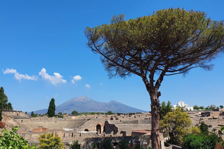 Sorrento: Skip-the-Line Pompeii Express Tour pociągiem