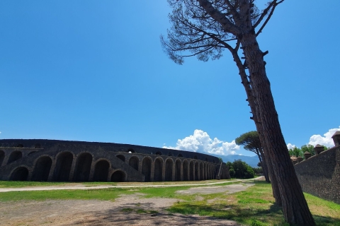 Sorrento: Skip-the-Line Pompeii Express Tour pociągiem
