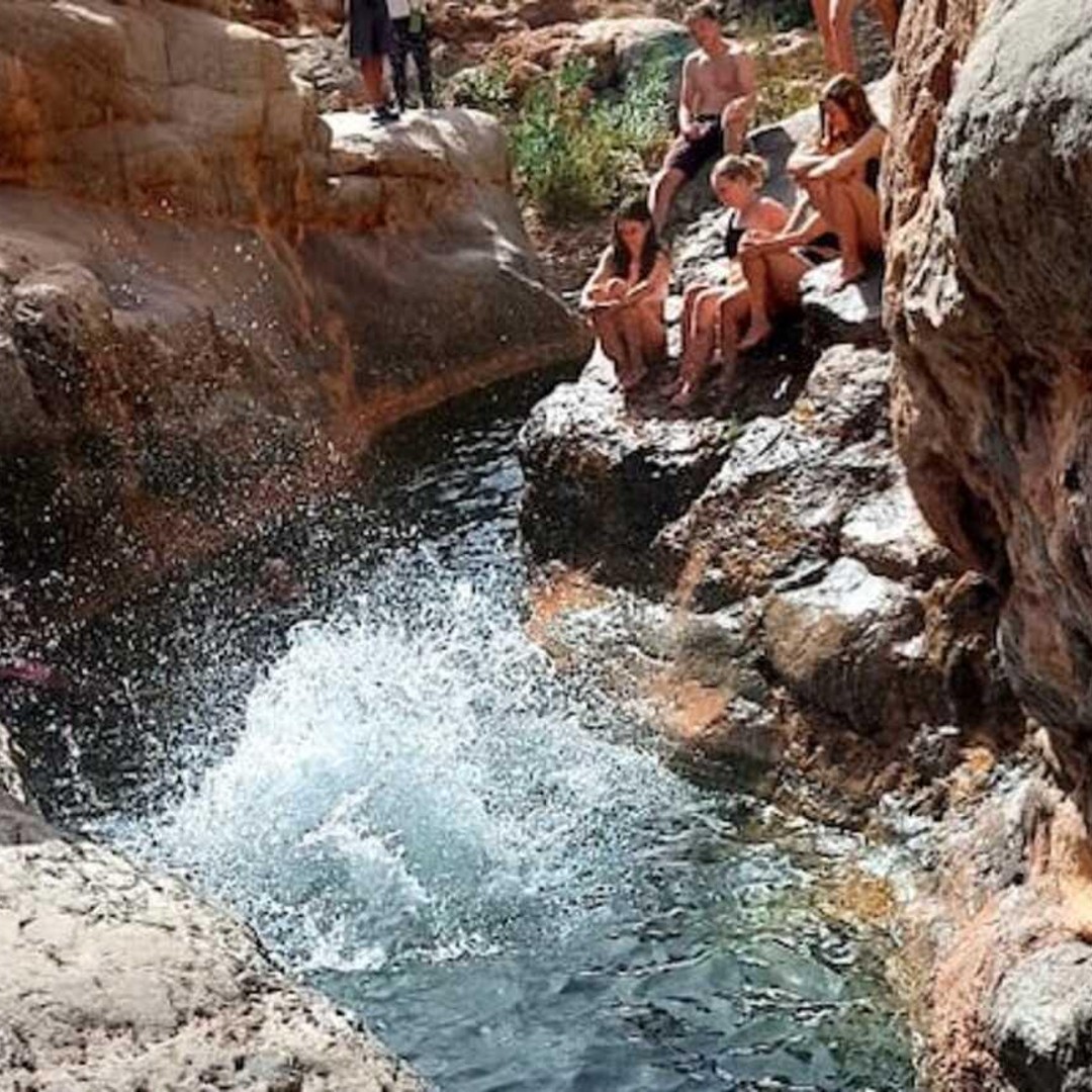 Galería de fotos para redes