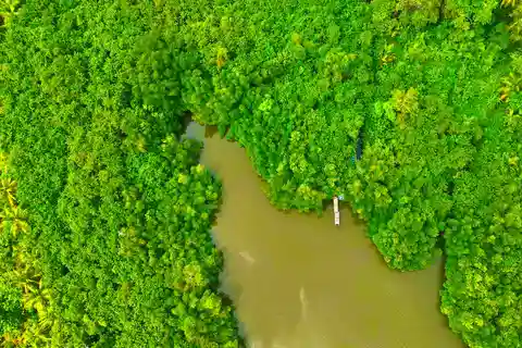 Balapitiya: Safari en barco por el río Madu y visita al Jardín de Canela