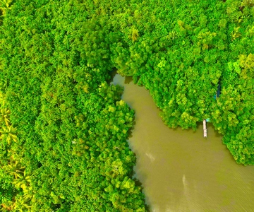 Balapitiya: Safari de barco no rio Madu e visita ao Cinnamon Garden