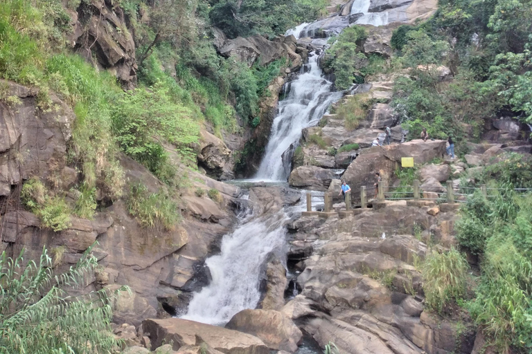 Ella : excursion d&#039;une journée inoubliable et tour en trainElla : excursion d&#039;une journée inoubliable et balade en train