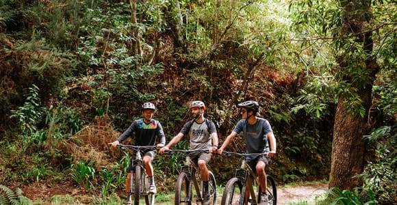 E-Bike Guided Tour - Mountainbike-Erlebnis