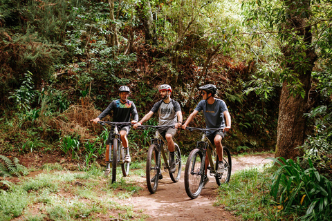 E-Bike Guided Tour - Mountain biking experience