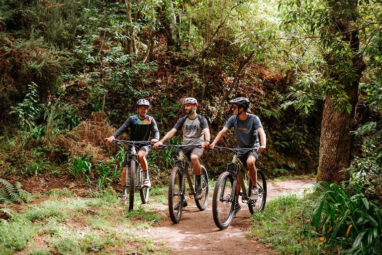 E-Bike Guided Tour - Mountain biking experience