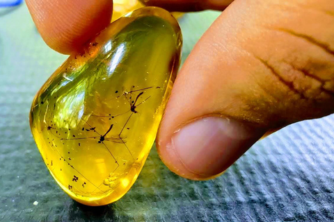 2in1: Parco Nazionale di Los Haitises + Cascata di Yanigua-SPATour guidato in tutte le lingue