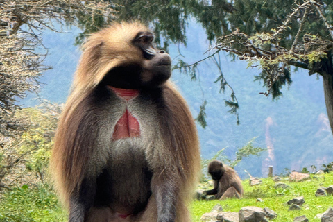 From Addis Ababa: 3-Day Ethiopia Highlights Adventure