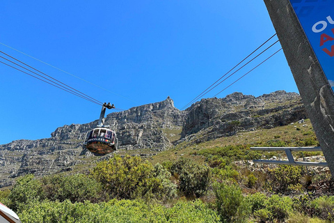 Cape Town: Table Mountain, Penguins & Cape Point Shared Tour