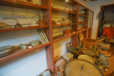 Naha: Okinawa Shuri Castle Peace Walking Tour