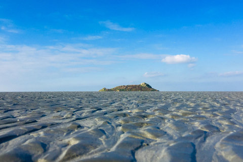 2-Hour Walk and Quicksand Experience in the Bay, Departing from Mont Saint-Michel 2-Hour Walk and Quicksand in the Bay, Departing from Mont Saint-Michel