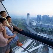 Singapore: Singapore Flyer Admission Ticket