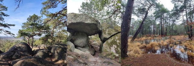 Hiking Adventure in the Fontainebleau Forest
