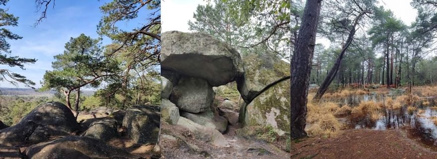 Aventure pédestre dans la forêt de Fontainebleau