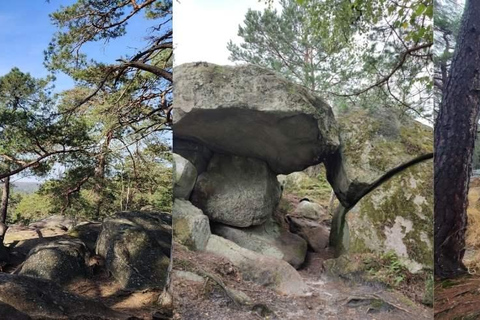 Hiking Adventure in the Fontainebleau Forest