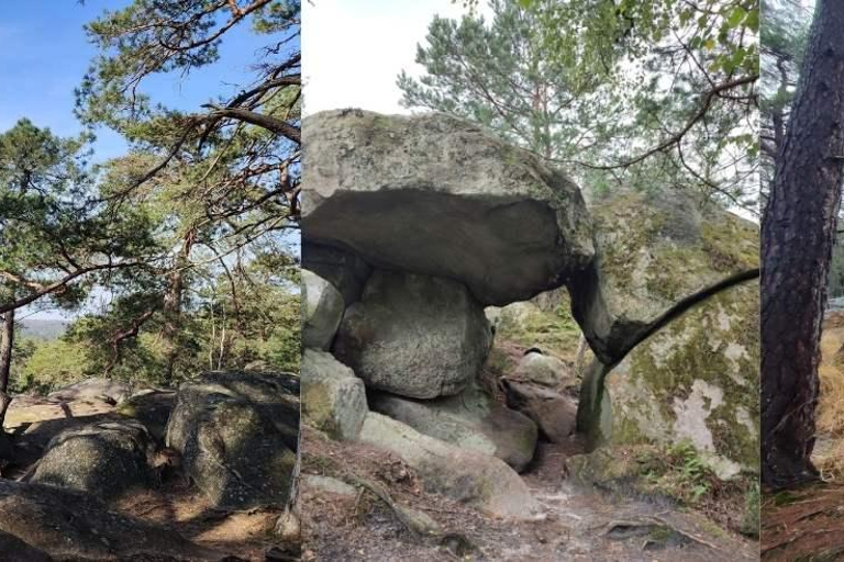 Hiking Adventure in the Fontainebleau Forest