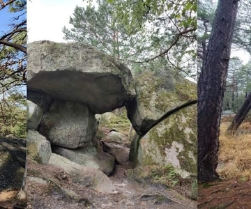 Hiking Adventure in the Fontainebleau Forest