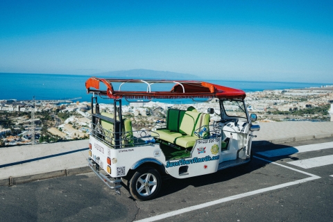 Costa Adeje en Canary Farm: tour met tuktukPrivétour