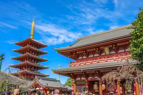 Tokyo: Asakusa's Shrine & Temples Private Walking Tour