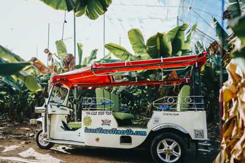 Costa Adeje: Tuk Tuk Tour of Farm