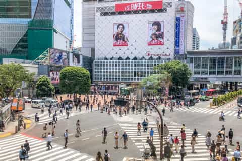 Shibuya: Private Guided Walking Tour