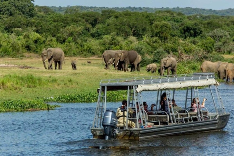 Excursion en bateau et safari dans le parc national de l'Akagera