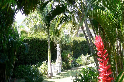 St. Kitts: Palm Court Pool with Jacuzzi Access