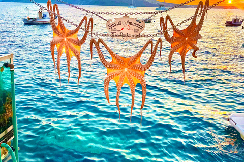 Santorin : visite des temps forts avec Oia et Pyrgos MegaloxoriSantorin : visite des temps forts avec Oia, Pyrgos et Megalochori