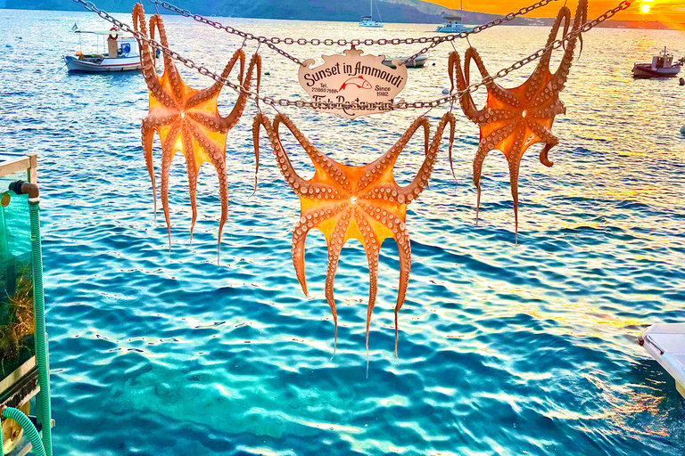 Santorin : visite des temps forts avec Oia et Pyrgos MegaloxoriSantorin : visite des temps forts avec Oia, Pyrgos et Megalochori