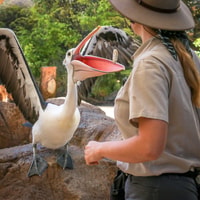Currumbin Wildlife Sanctuary Ticket - Housity