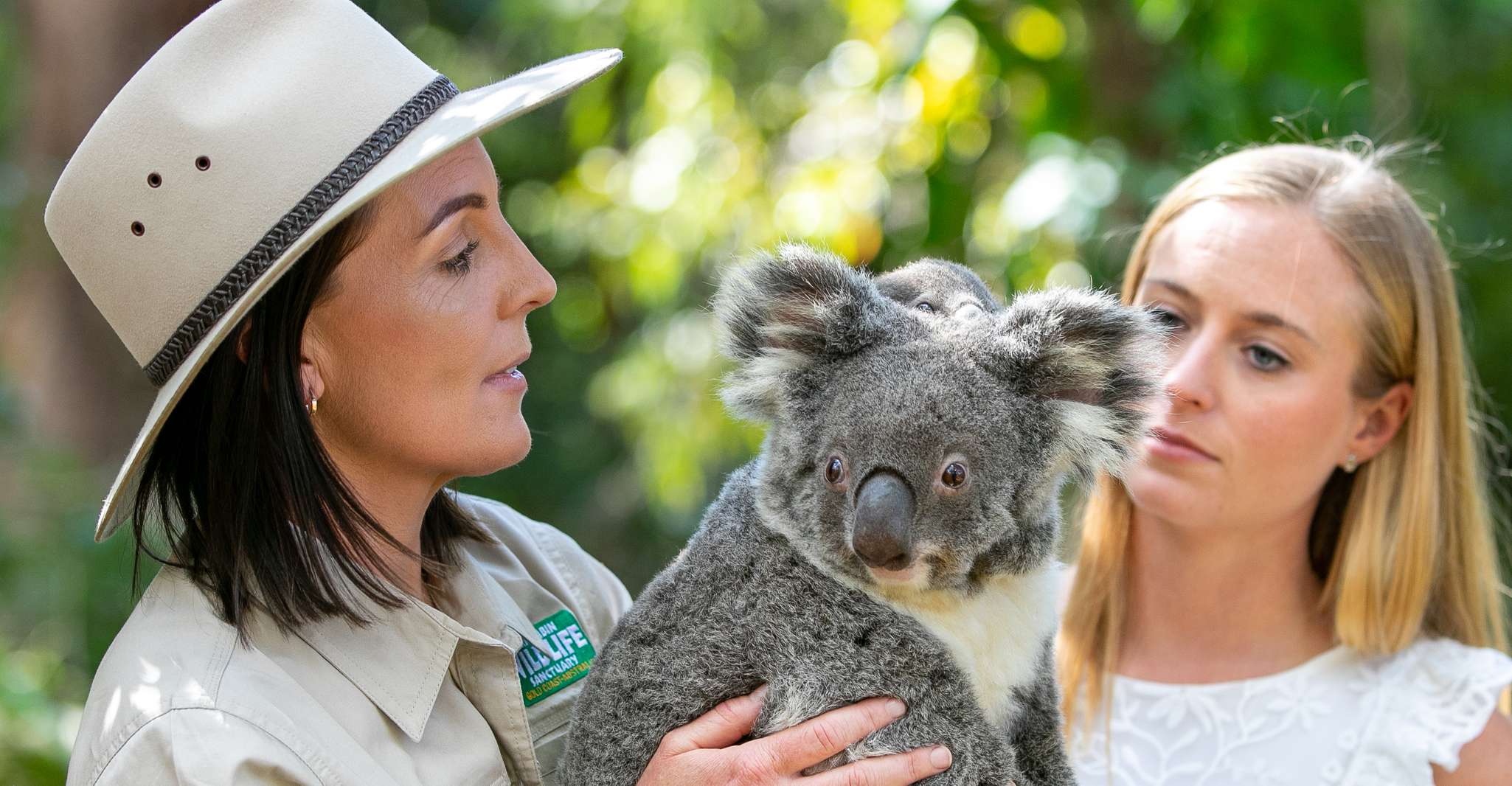 Currumbin Wildlife Sanctuary Ticket & Koala Photo - Housity