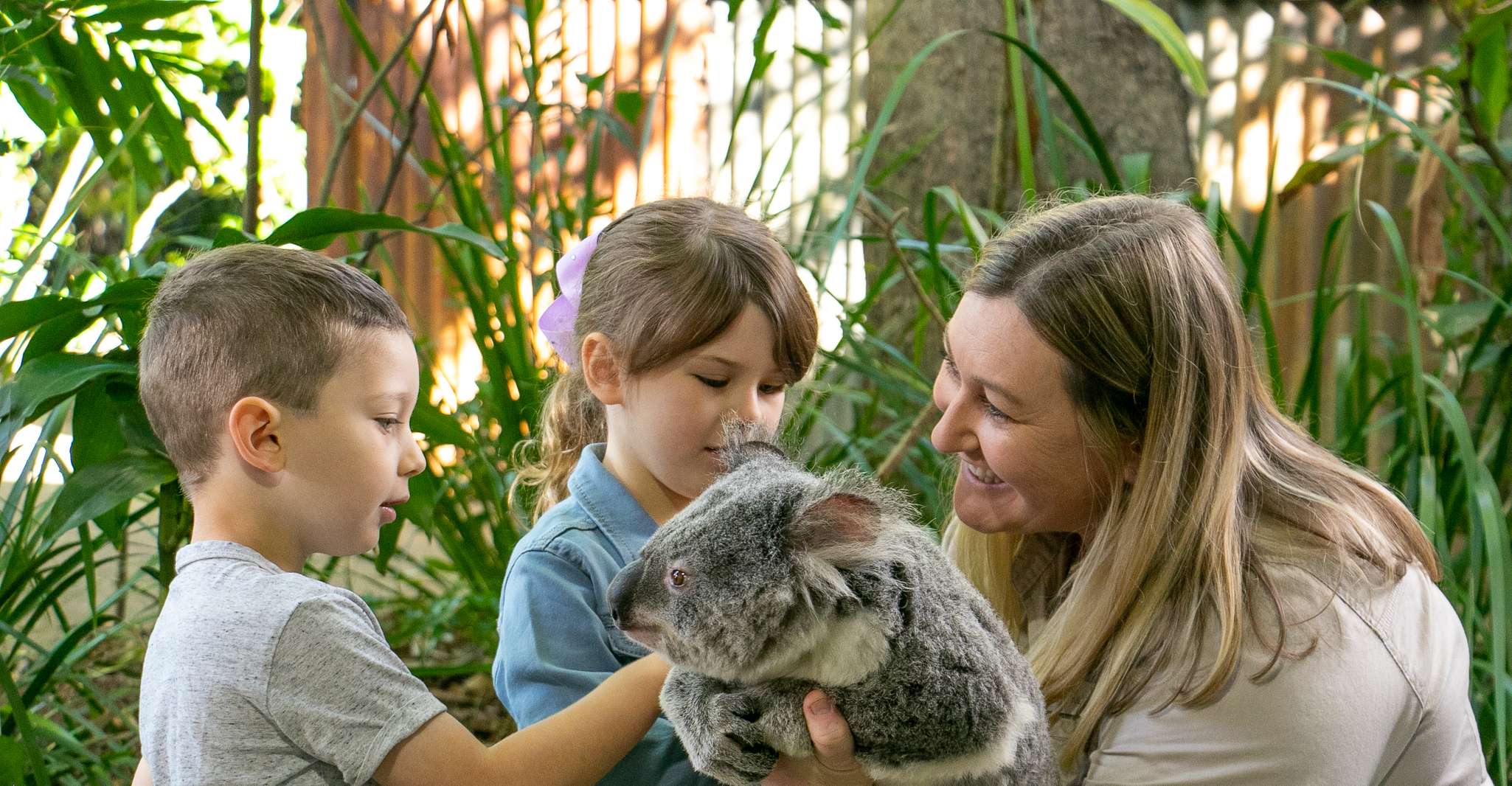 Currumbin Wildlife Sanctuary Ticket & Koala Photo - Housity