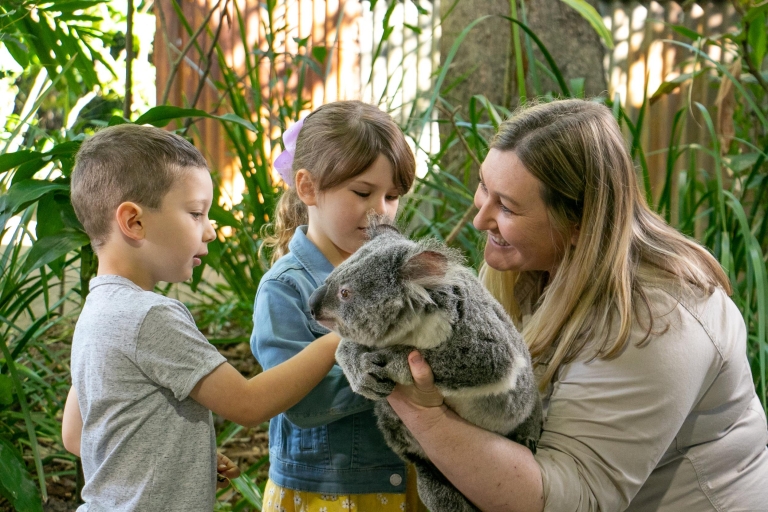 Santuario de vida salvaje Currumbin: ticket y foto con koala