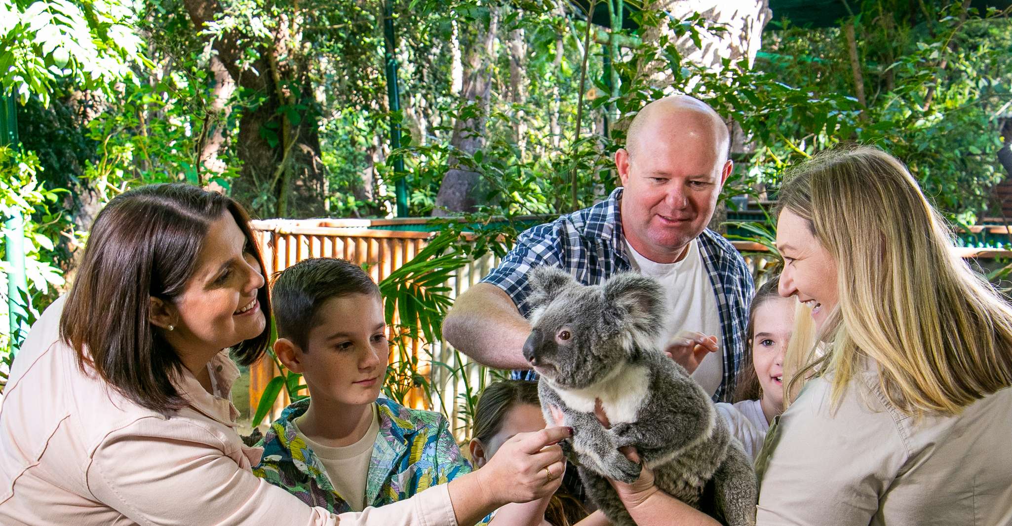 Currumbin Wildlife Sanctuary Ticket & Koala Photo - Housity