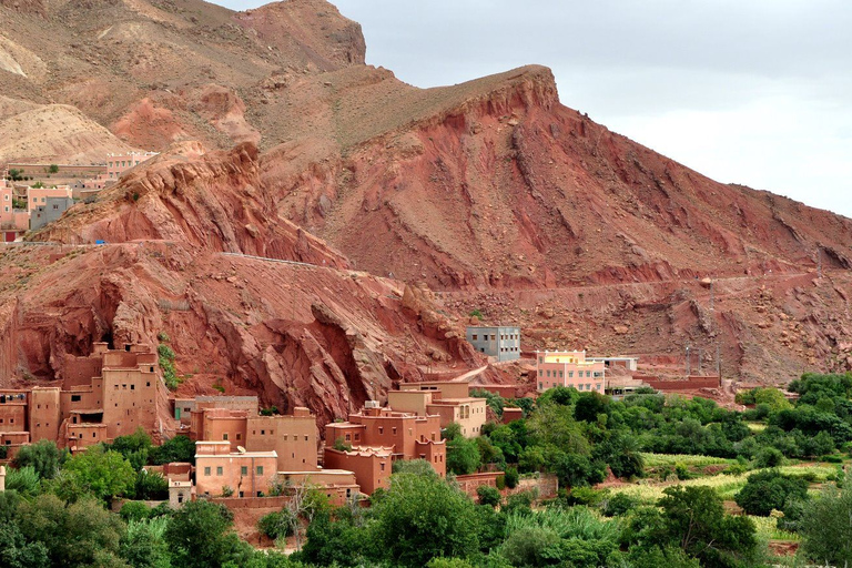 Da Marrakech: tour privato di 4 giorni sulle montagne dell&#039;Atlante e nel deserto