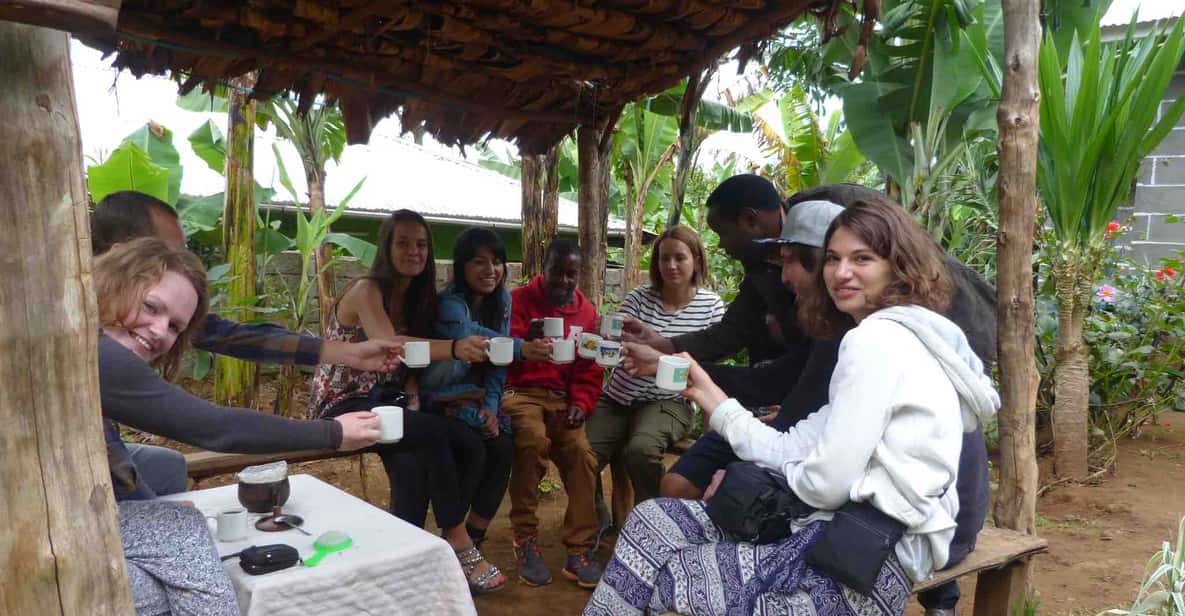 Kilimanjaro: Materuni Waterfalls and Coffee Tour with Lunch