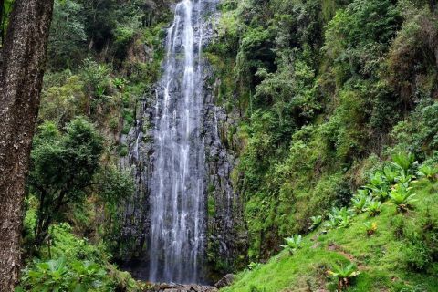 Kilimanjaro: Materuni Waterfalls and Coffee Tour with Lunch