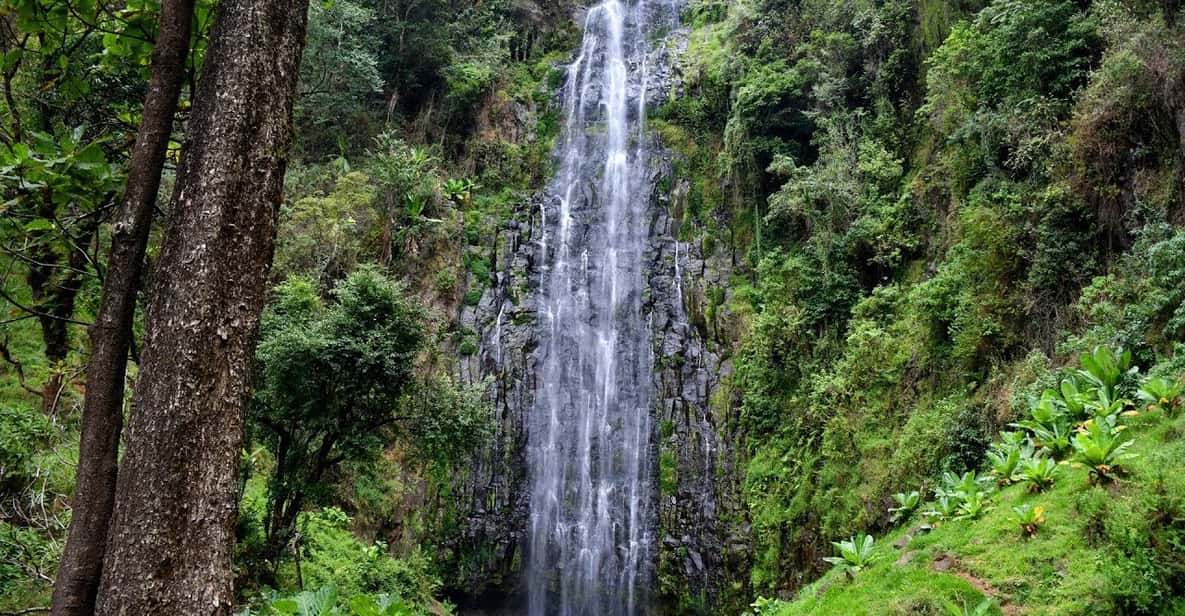 Kilimanjaro: Materuni Waterfalls and Coffee Tour with Lunch