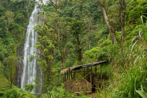 Kilimanjaro: Materuni Waterfalls and Coffee Tour with Lunch