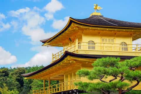 Kyoto: Private World Heritage Temples and Shrines Tour
