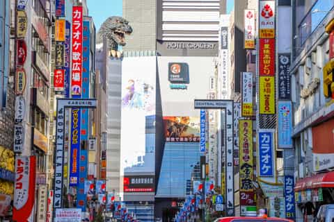 Shinjuku: Private Guided Tour of Shinjuku’s Top Sights