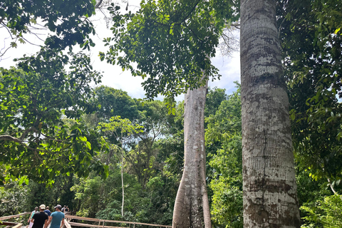 Manaus: Rio Negro Private Boat Tour with Sunset