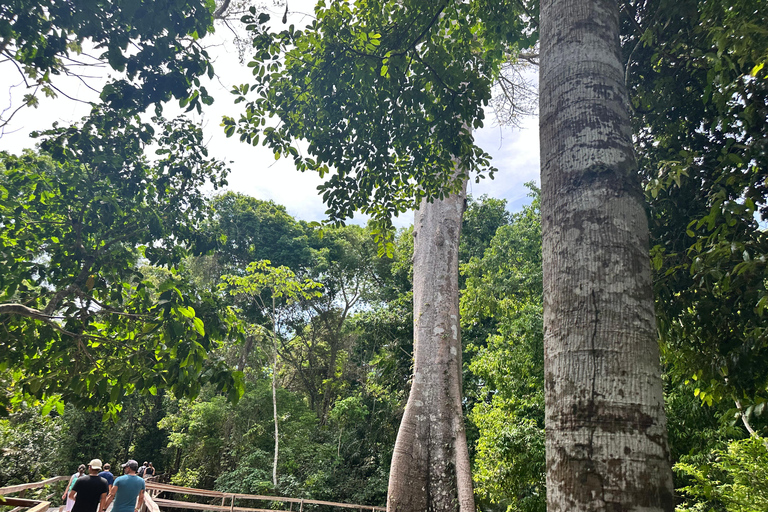 Manaus: Rio Negro Private Boat Tour with Sunset