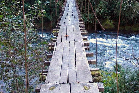 From Batumi: Mtirala National Park Guided Hike, Cable Car