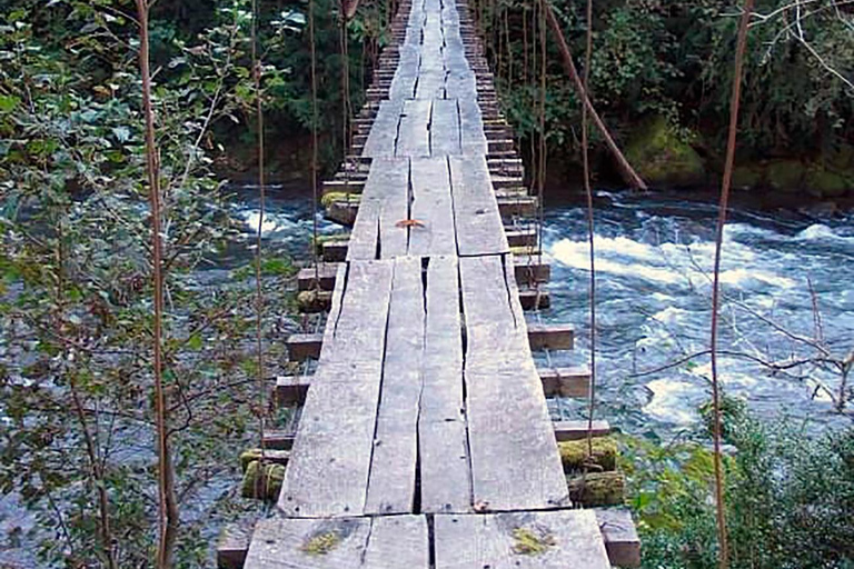 From Batumi: Mtirala National Park Guided Hike, Cable Car