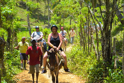 Ab Punta Cana: Walbeobachtung-Tagestour im Schutzgebiet