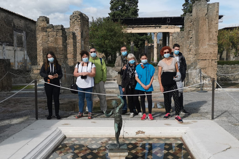 Vanuit Sorrento: Dagtocht naar de ruïnes van Pompeii en de VesuviusbergTour in het Italiaans