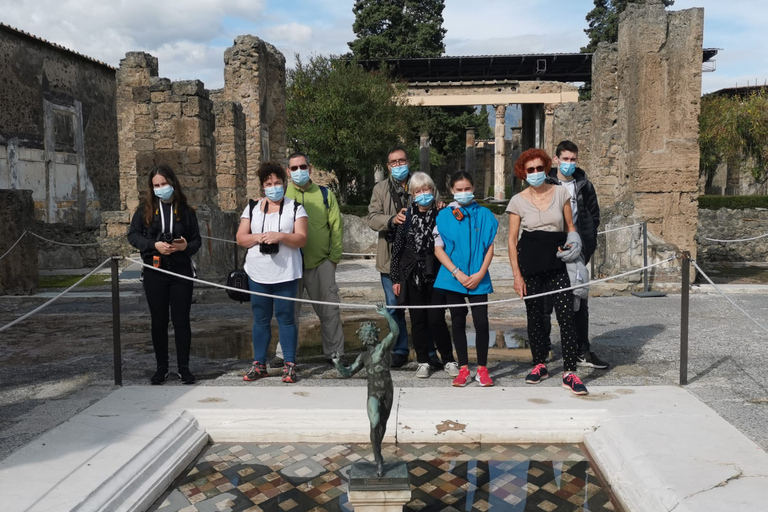 Van Sorrento: dagtocht naar de ruïnes van Pompeii en de VesuviusTour in het Engels