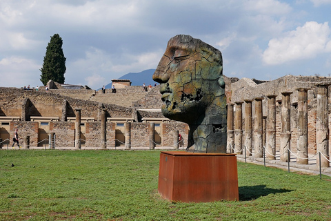 From Sorrento: Day Tour to Pompeii Ruins and Mount Vesuvius Tour in Spanish