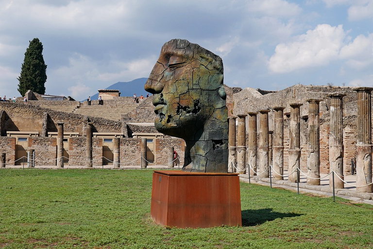 Van Sorrento: dagtocht naar de ruïnes van Pompeii en de VesuviusTour in het Engels