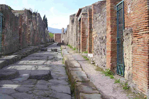 From Sorrento: Day Tour to Pompeii Ruins and Mount VesuviusTour in Italian